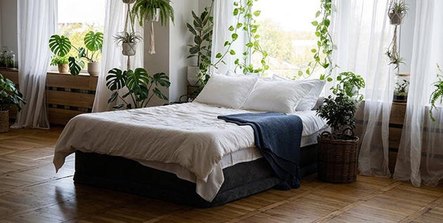 Biophilic Bedroom Design