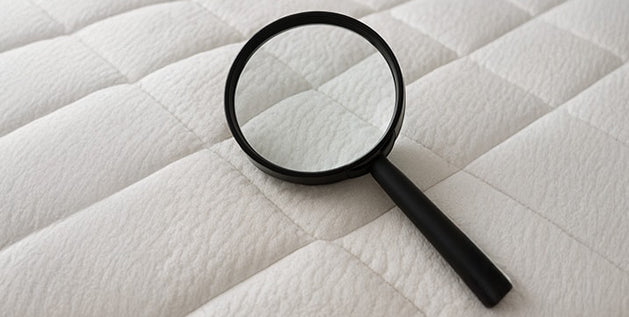 Fun Mattress Facts