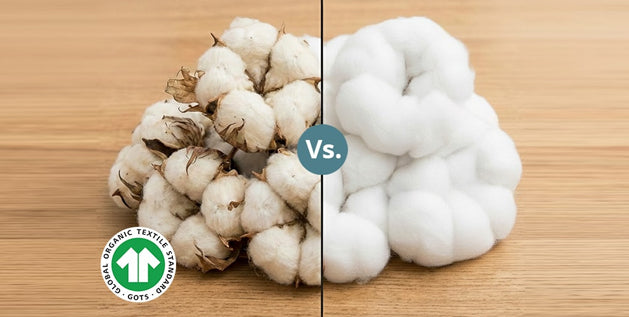 Organic Cotton vs. Regular Cotton