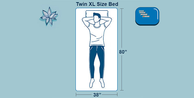 Twin XL size bed dimensions - A twin XL mattress measures 38 inches wide by 80 inches long