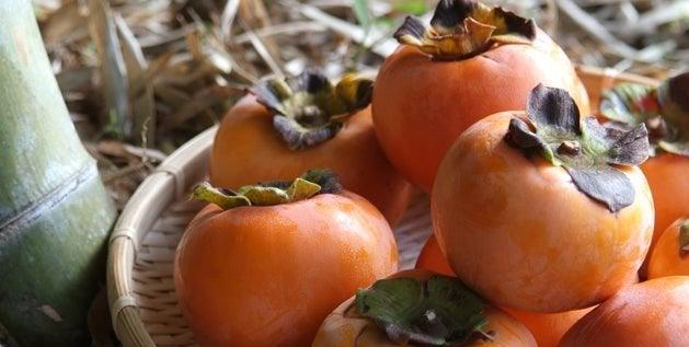 fall persimmon ginger smoothie