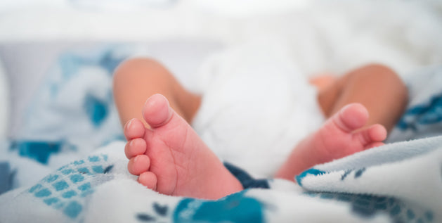 How to Get Pee Smell Out of Mattress?