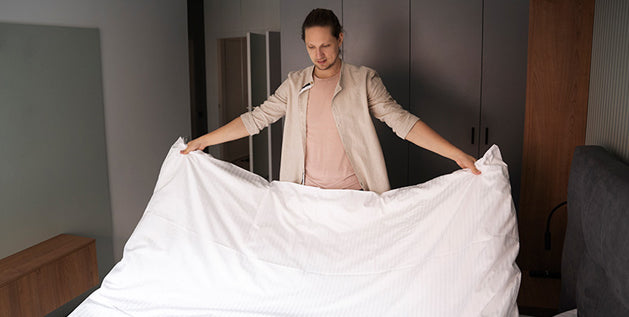 How to Get Rid of Bed Bugs?