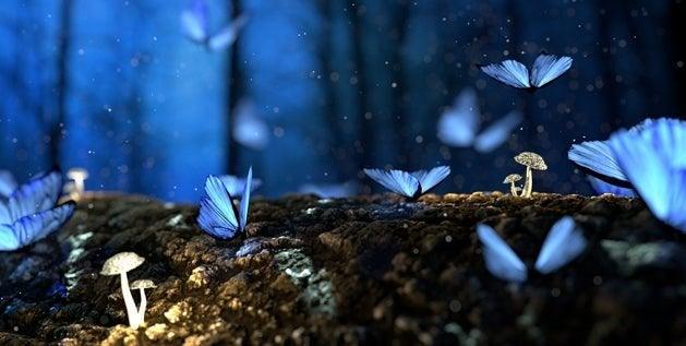 how to keep a dream journal