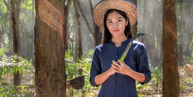 a look at rubber plantations in sri lanka