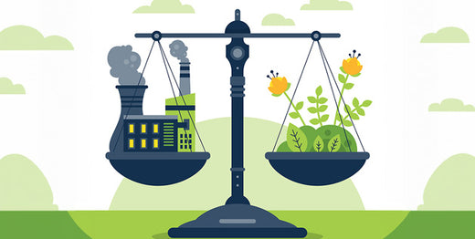 carbon neutral - the future of sustainability