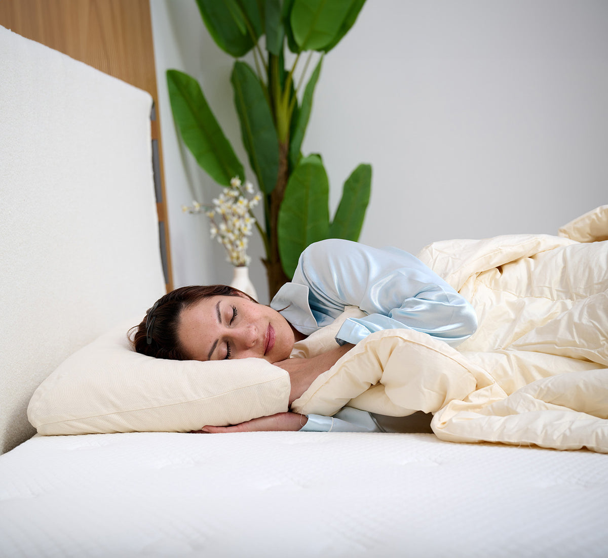 Shredded Latex Pillow