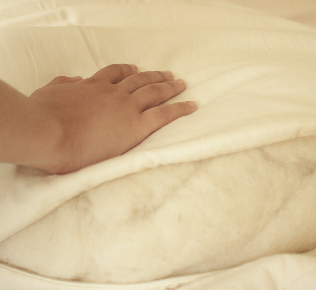 Buckwheat and Wool Filled Hybrid Pillow Turmerry