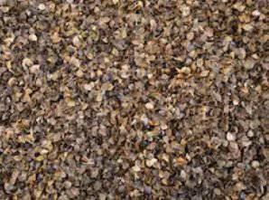 Sustainably Grown Pesticide Free Buckwheat Hulls 1lb - Turmerry